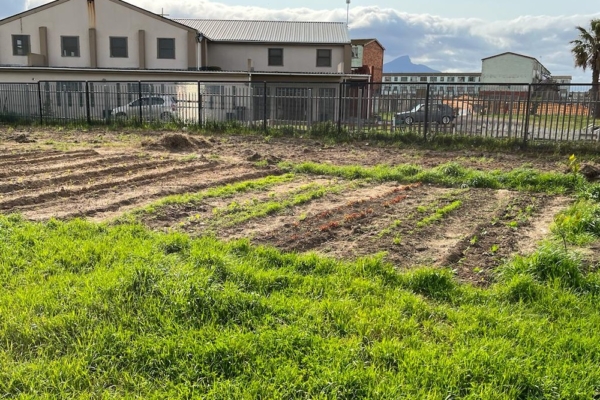 Youth Center (Bild-9)